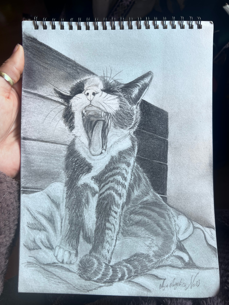 «Зевающий бинго» 