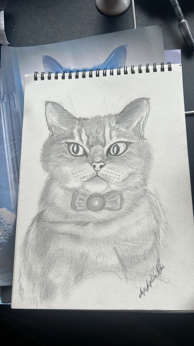 «Серьезная Милка»