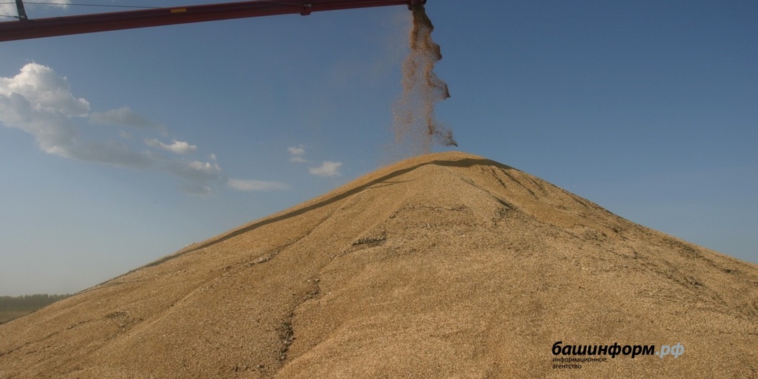 Башкирия накормит Китай, Марокко и Казахстан