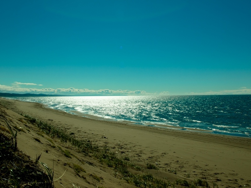     / Источник: (cc) Rom870