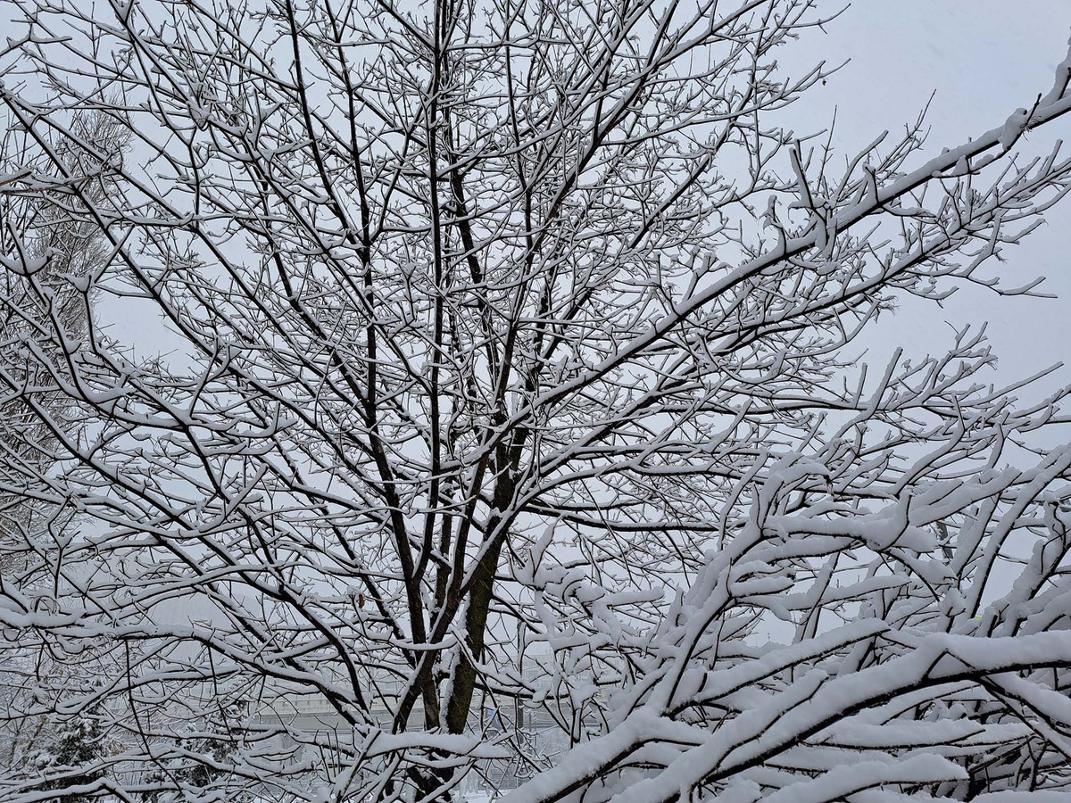 Циклон обрушит на регион осадки в середине недели.  Фото: Фото: ФедералПресс / Вера Романескул