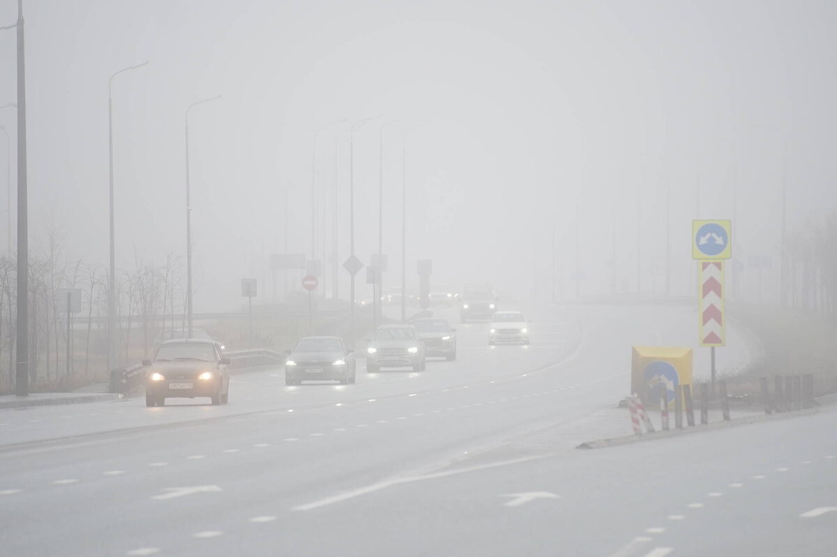 Фото: © Владимир Васильев / «Татар-информ» ​