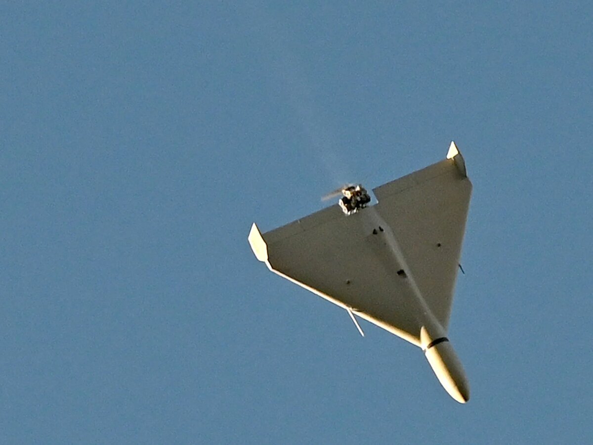 Шахид-2. иранский БПЛА массовый.  фото: яндекс.