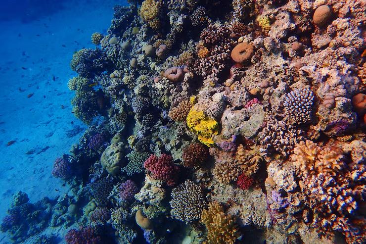 Фото: ru.freepik.com