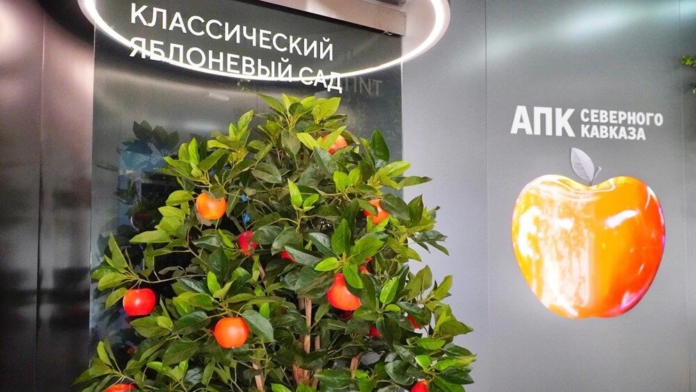 Пресс-служба Национального центра «Россия»