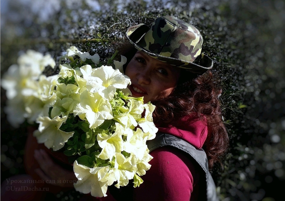 авторский канал "Урожайный сад и огород"