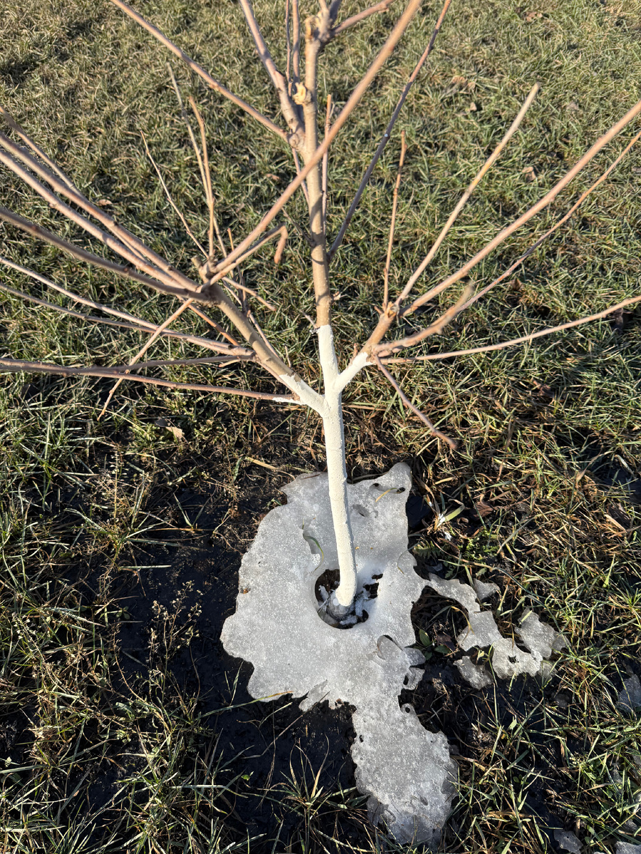 Еще местами лежит снег