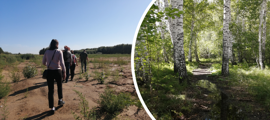 Точка объединения — Шершни