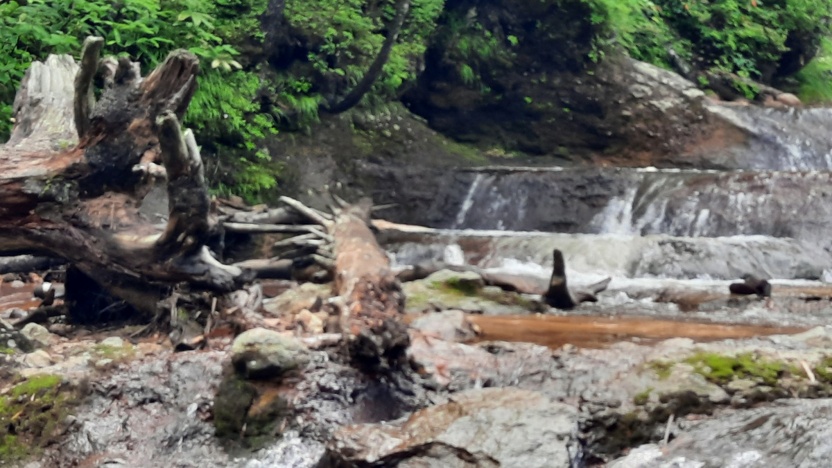 Фото из личного архива