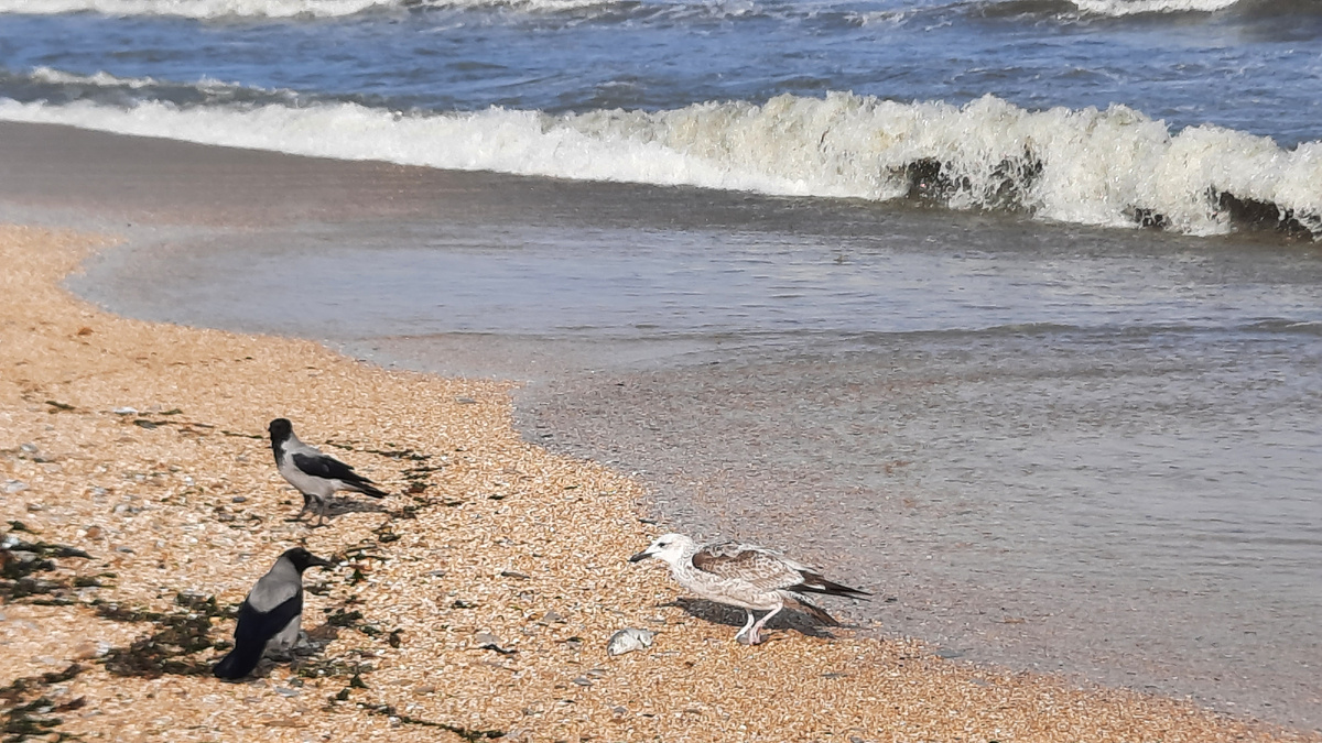 Фото из личного архива