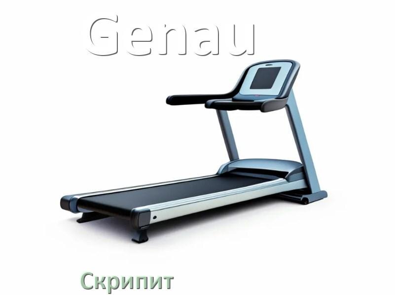 
Почему скрипит беговая дорожка Genau при беге трещит и что делать