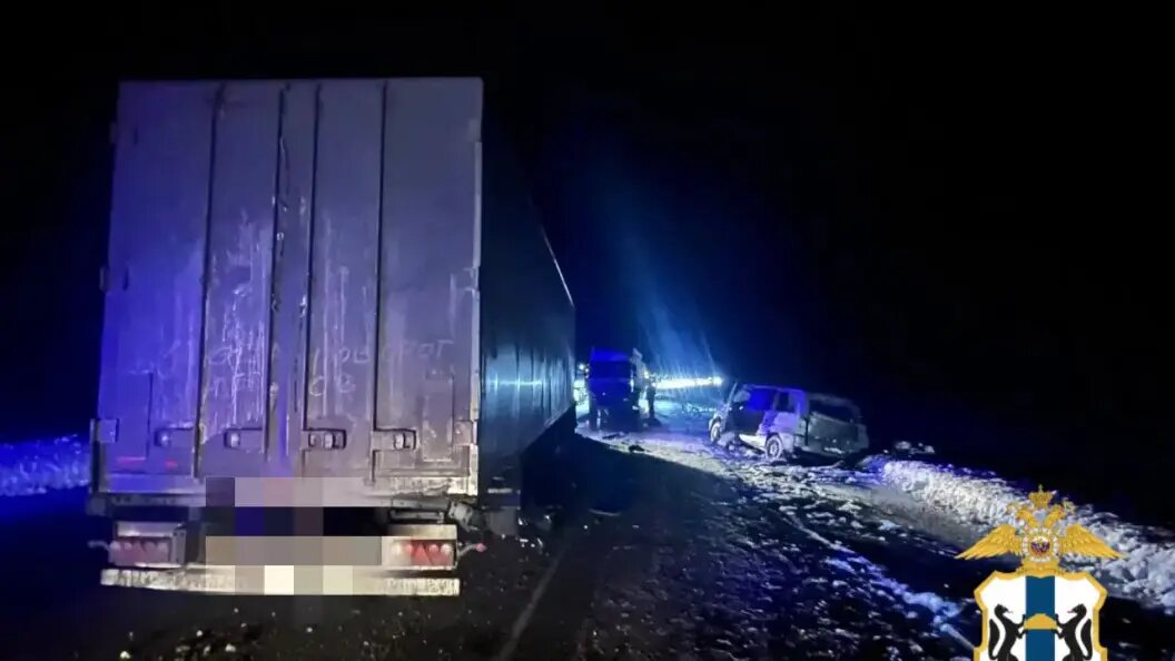    Фото: ГУ МВД по Новосибирской области