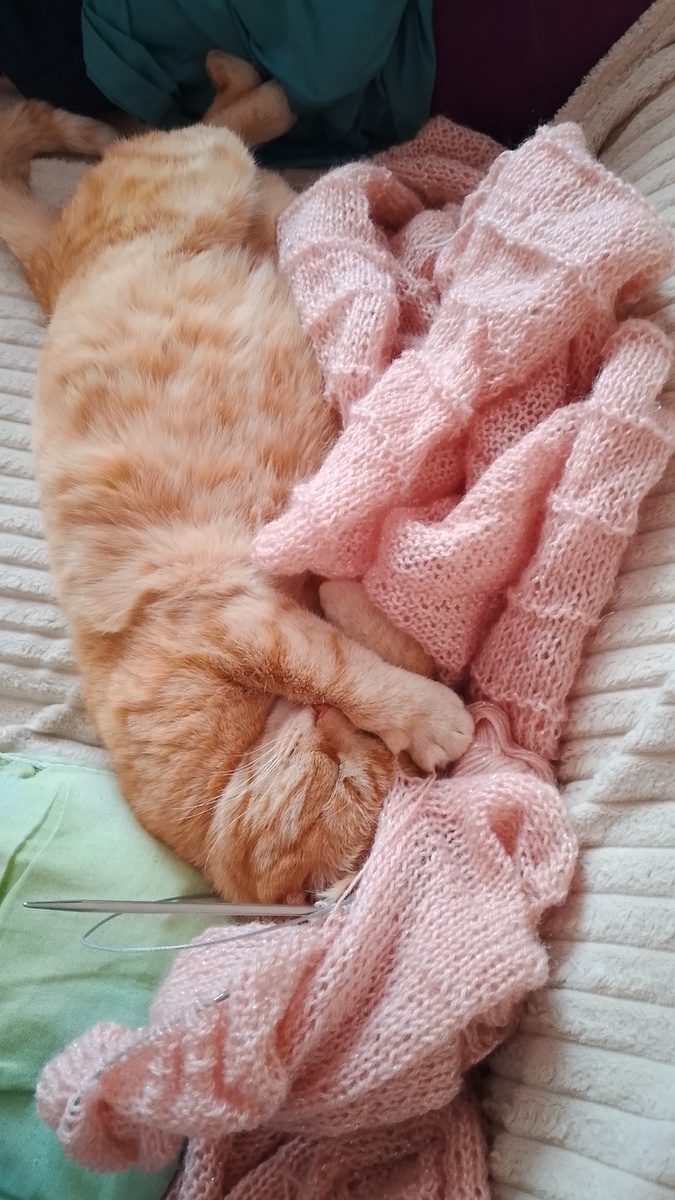 Спит, проснуться не может, а времени то уж 8 утра😄, слышно даже, как сопит во сне😆