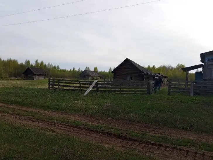    Фото: Пруфы
