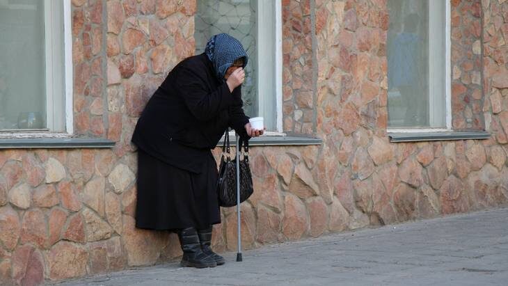    Фото: "Брянские новости"