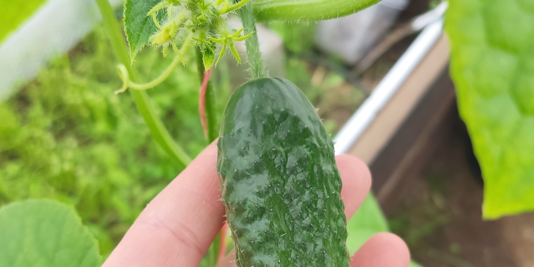 Майский, долгожданный!