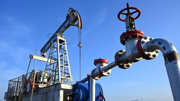    © РИА Новости . Максим Богодвид