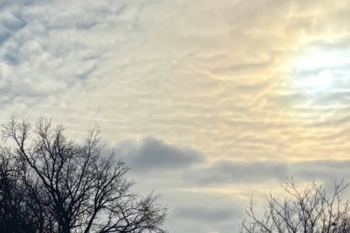    В ночь на 15 марта в Тверской области вновь сбили вражеский БПЛА