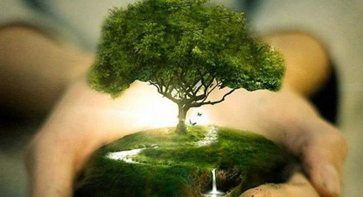 фоо из интернета