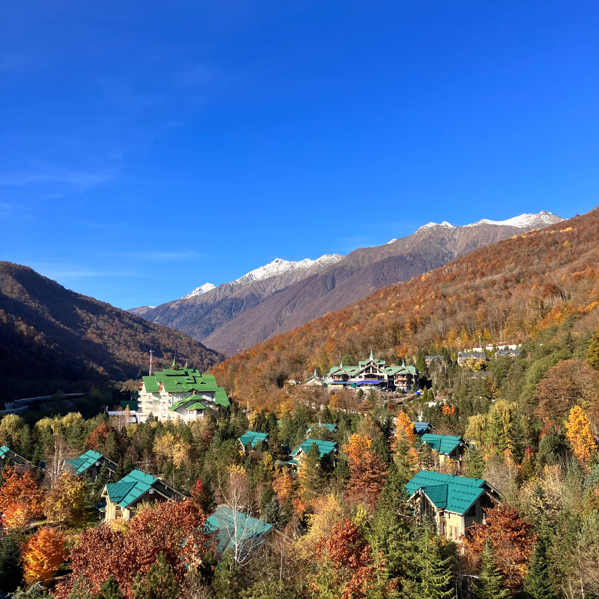 Чуть не «профукала» такую красоту 