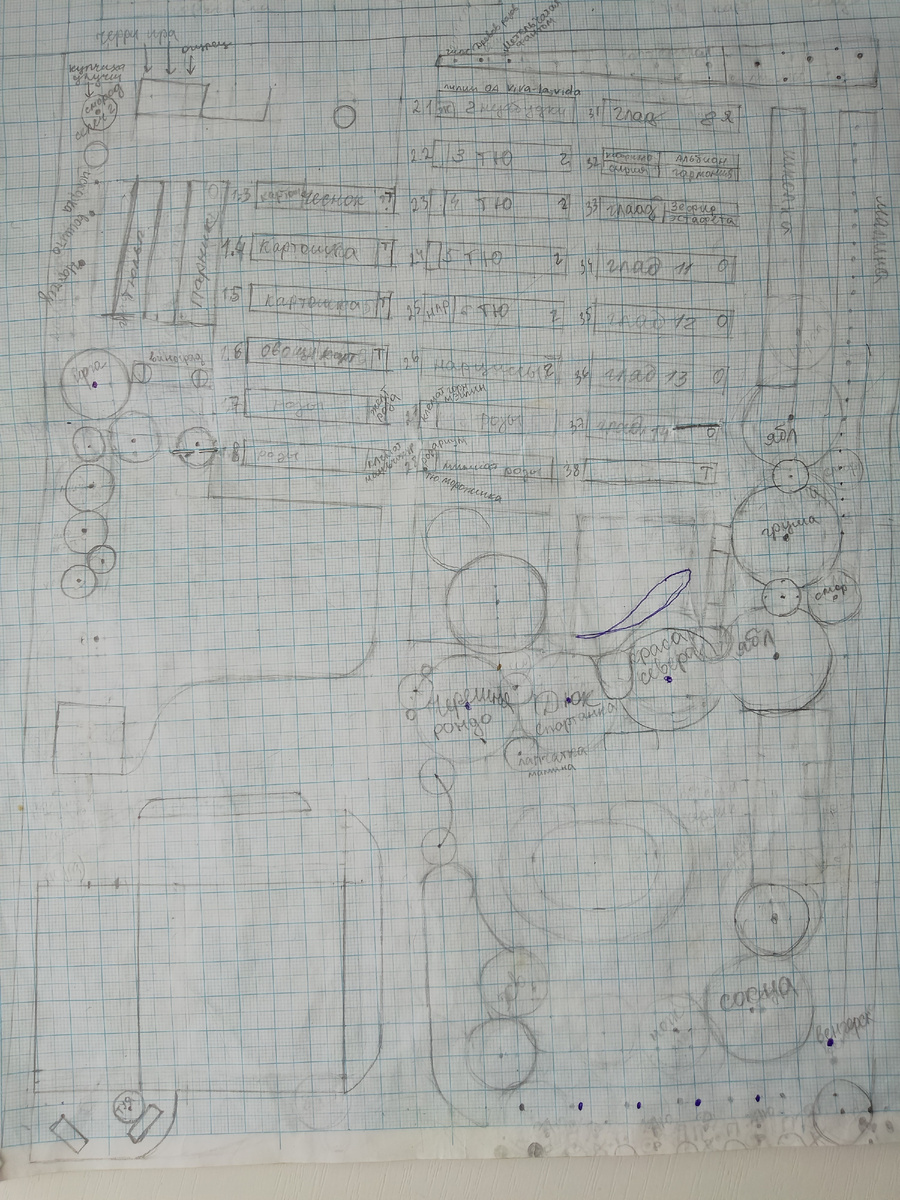 Наши 8 соток. Лист миллиметровки истерт ластиком почти до дыр в ходе творческих споров и исканий двух дам.