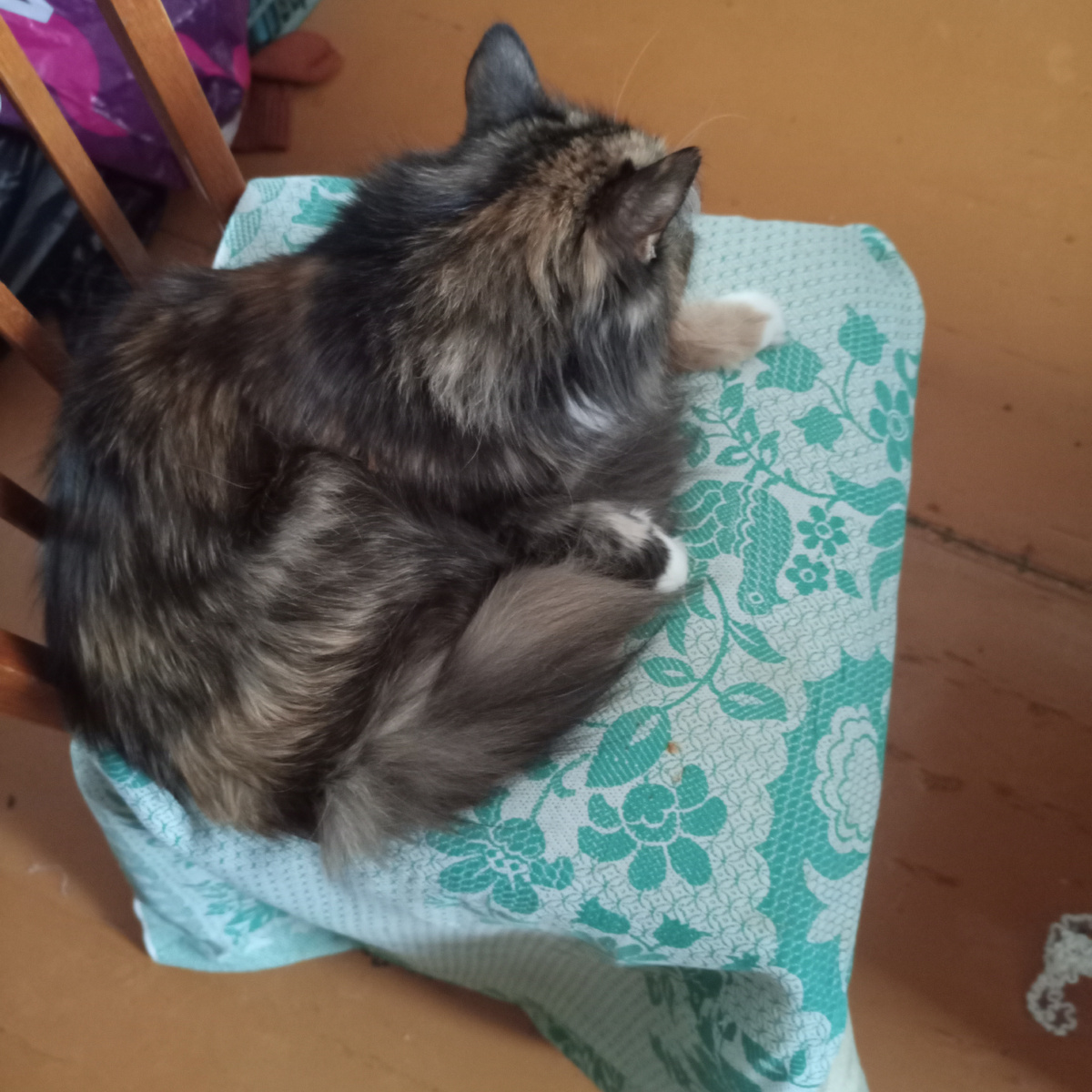 Фото автора.