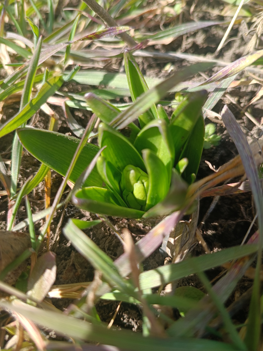 Интересно, этот какого цвета😍