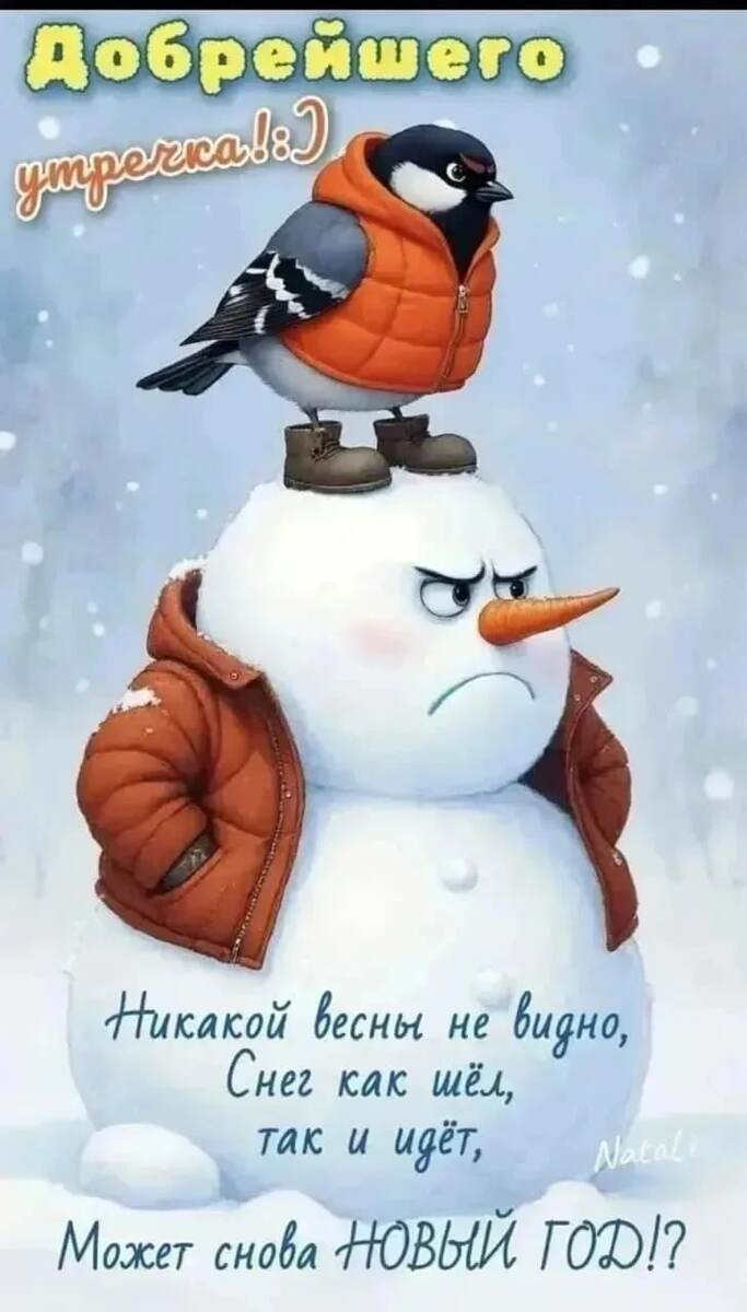 Картинка взята из общего доступа  системы Интернет