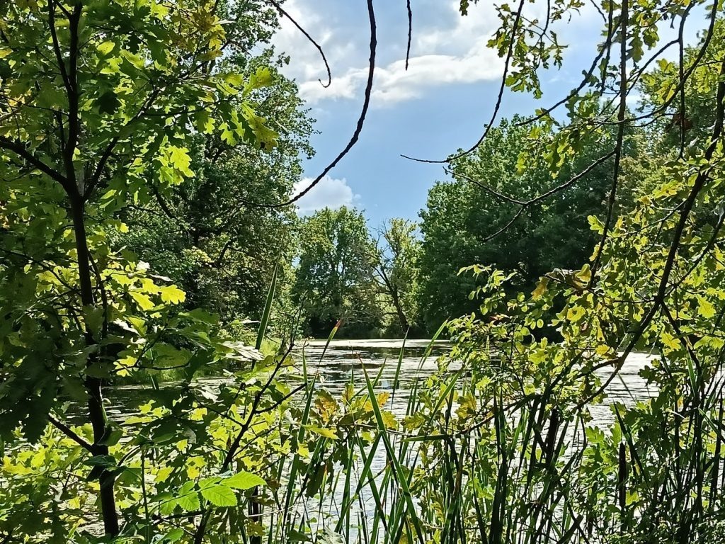    Анастасия Петрова