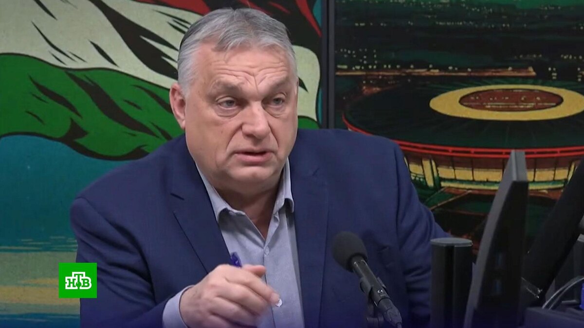    Истерика и паника: киевские головорезы начали угрожать Орбану