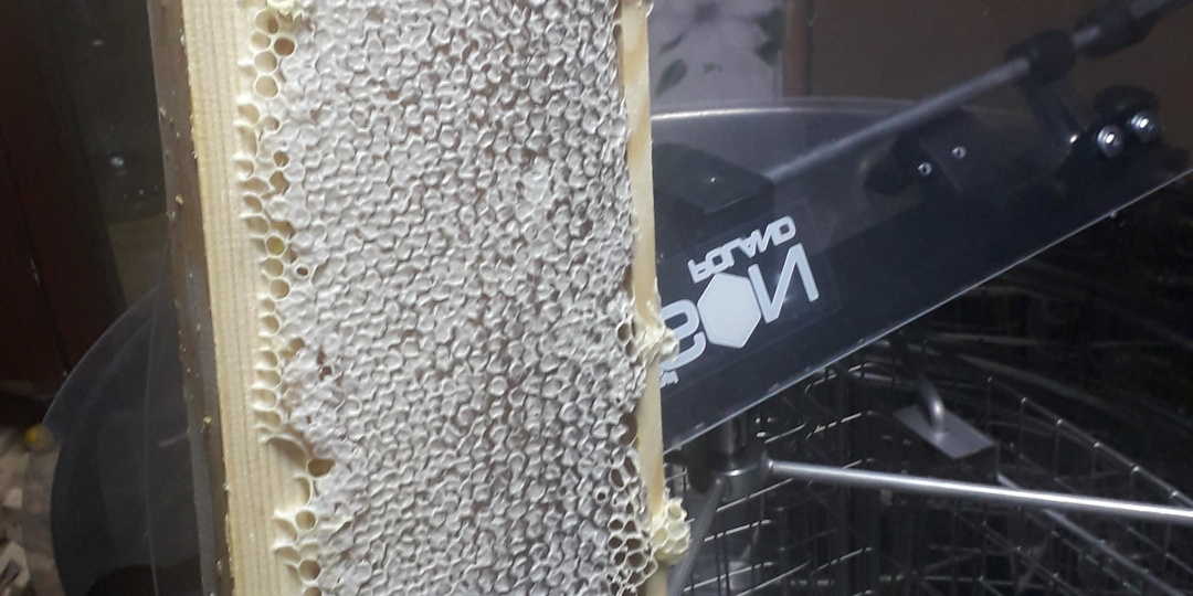 Первая откачка мёда на нашей пасеке