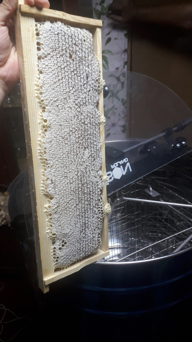  Рамка готовая к распечатке и откачке и тот самый механический привод медогонки.