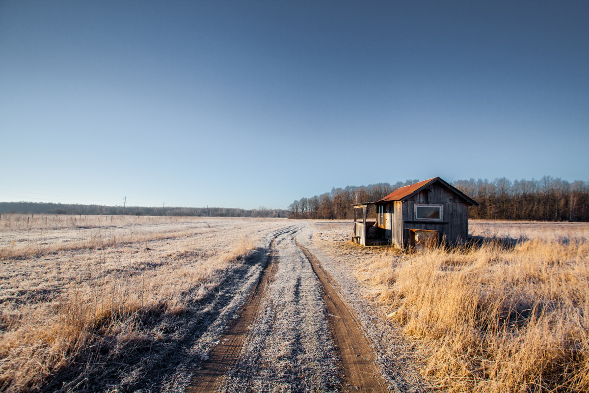Фото: senivpetro /Freepik