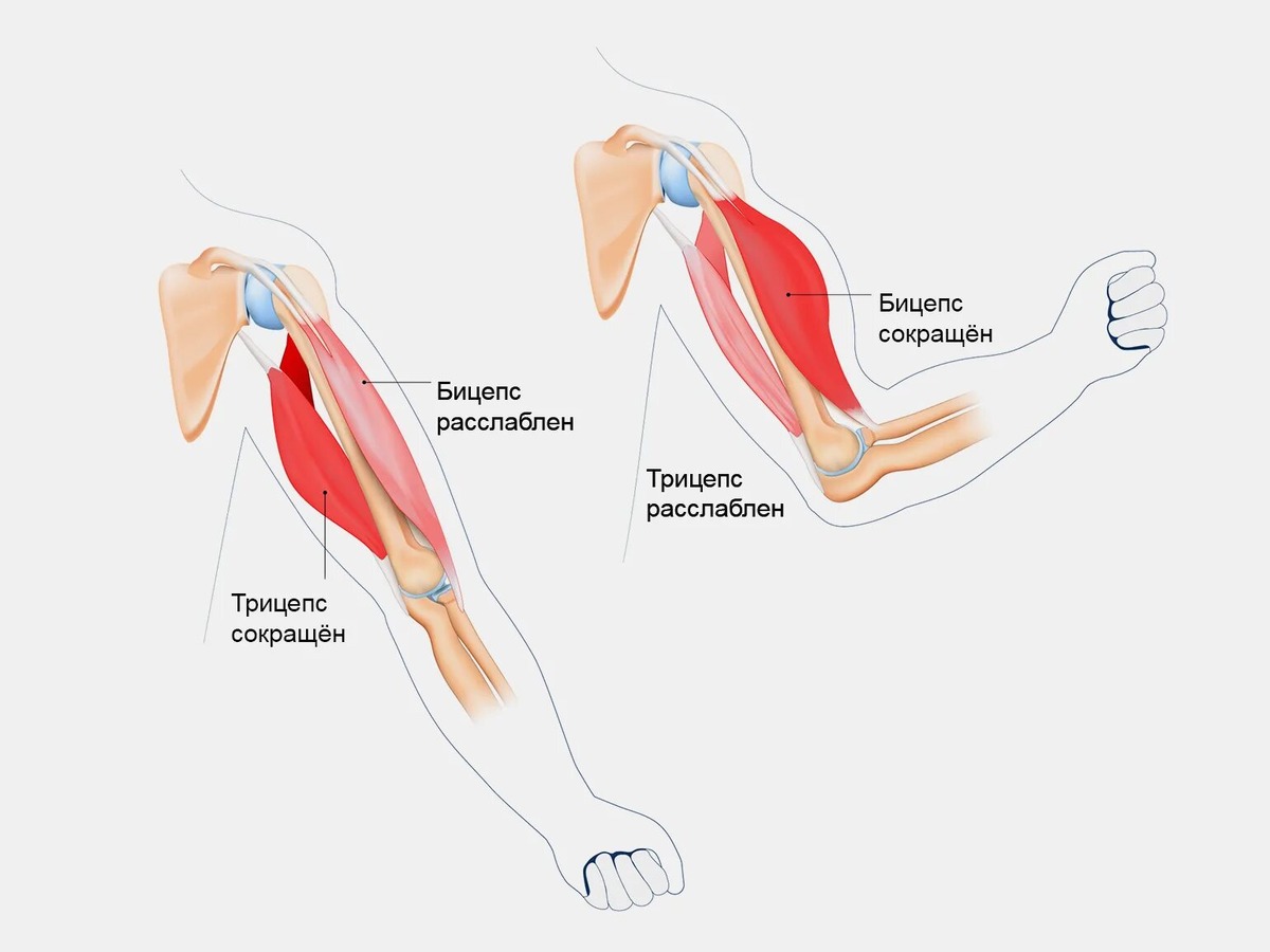фото из открытого источника
