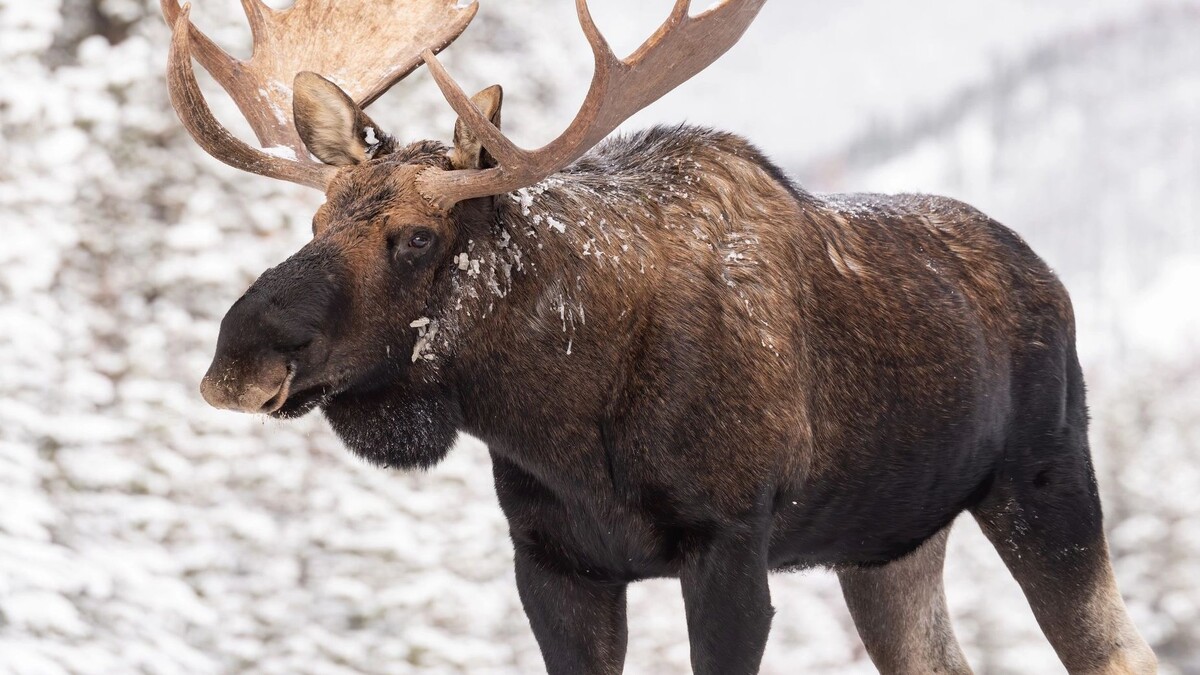    Фото: Harry Collins Photography / Shutterstock / Fotodom