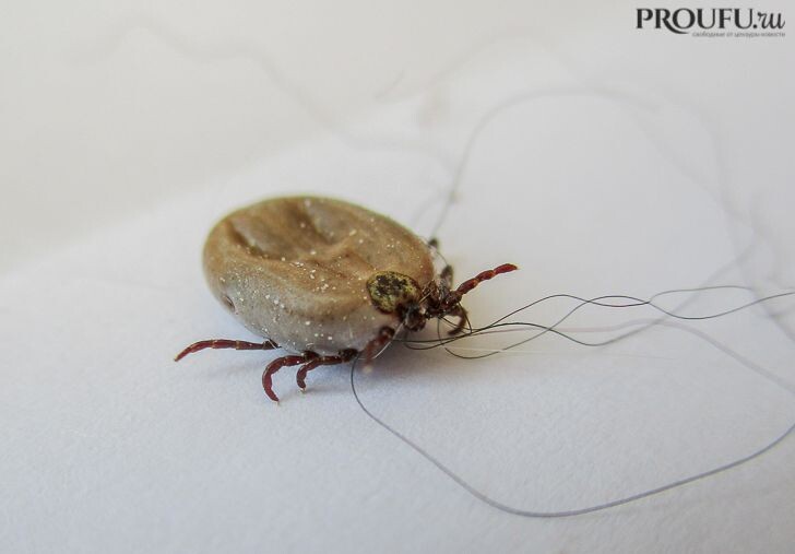    Фото: Пруфы