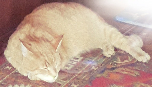 Фото автора 15.03.2026г.