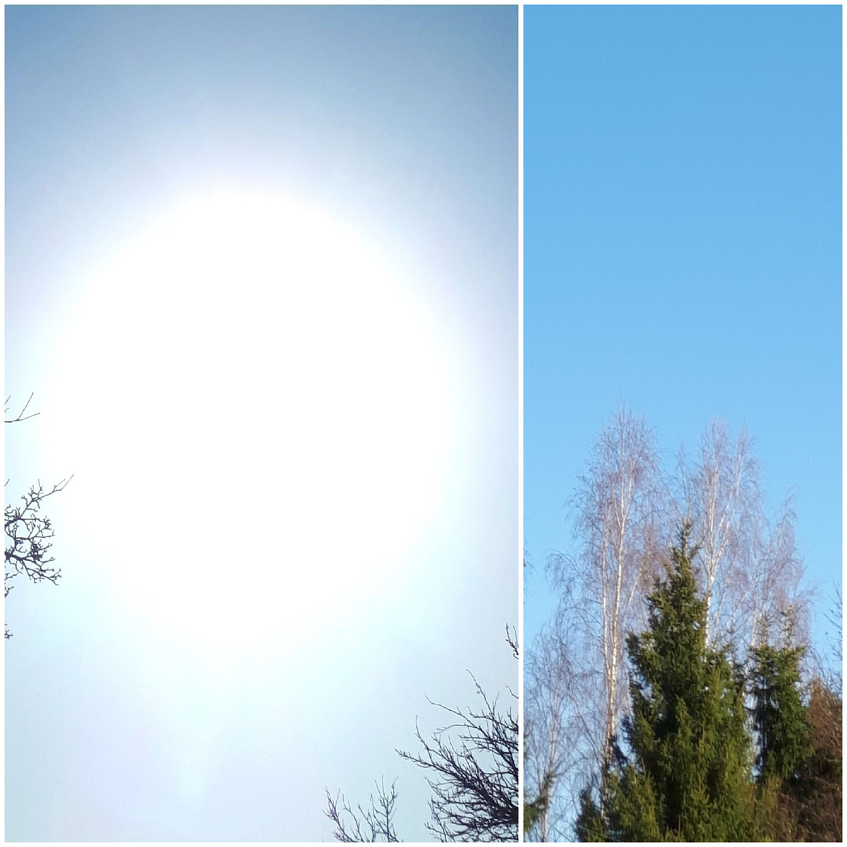 Коллаж автора 15.03.2026г.