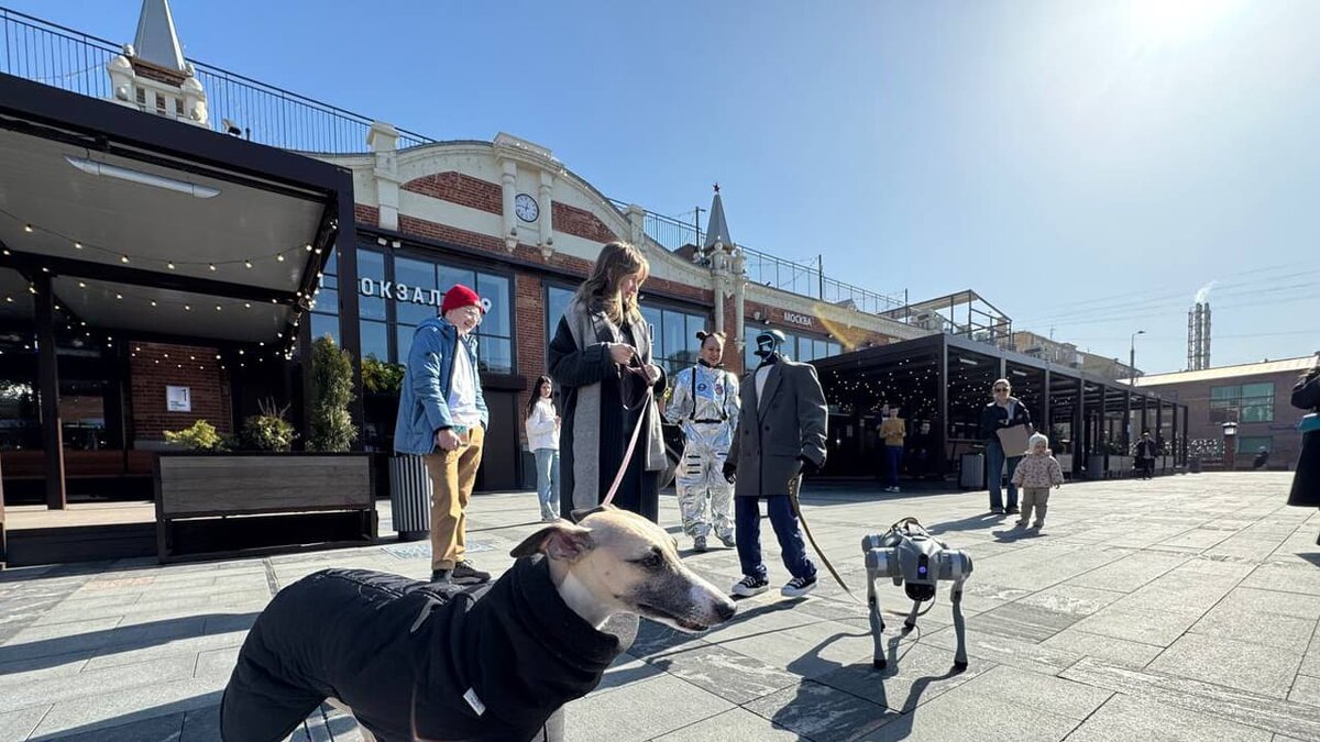     Робот гуманоид компании IT Imperial