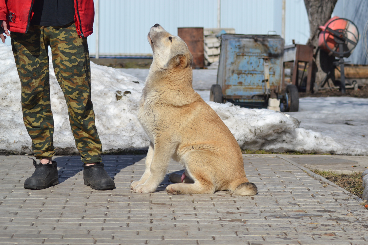 листаем влево