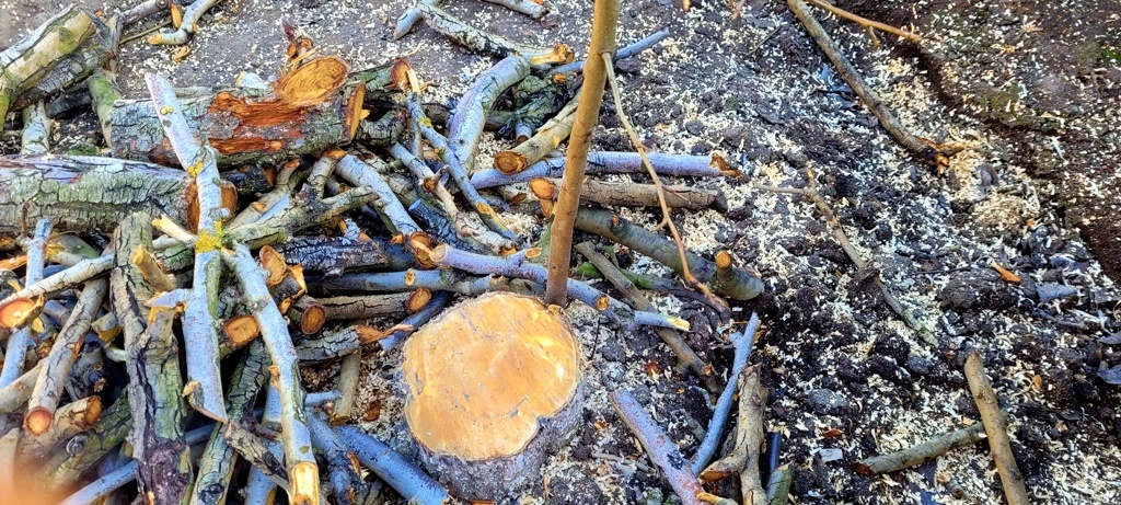 Здесь была вкусная груша