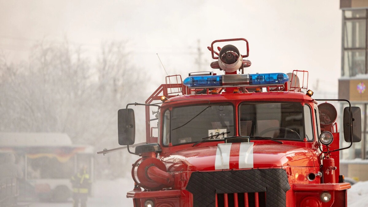    Фото: Сергей Зубков/«Ямал-Медиа»