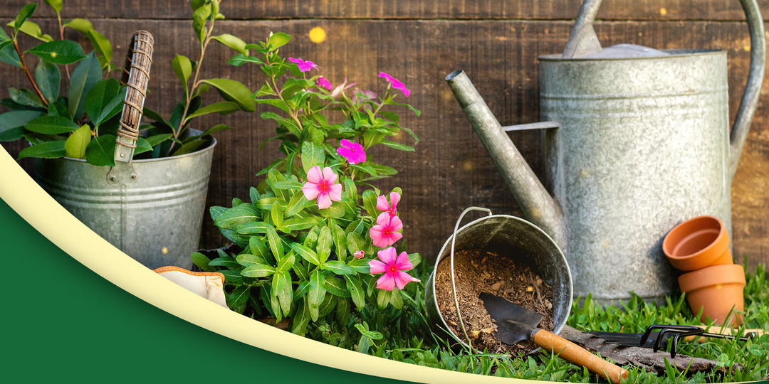 Чек-лист подготовки теплицы к новому сезону: чтобы весной всё пошло спокойно 🌱