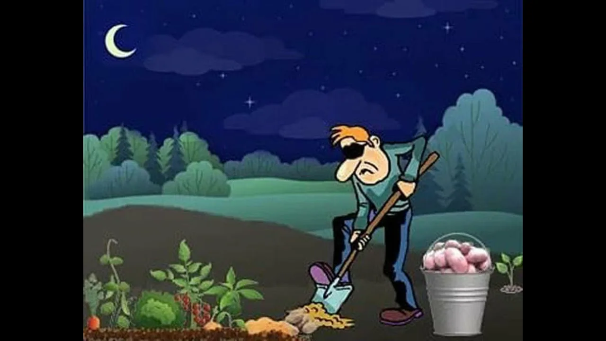 Рисунок из Яндекса. Спасибо автору. 