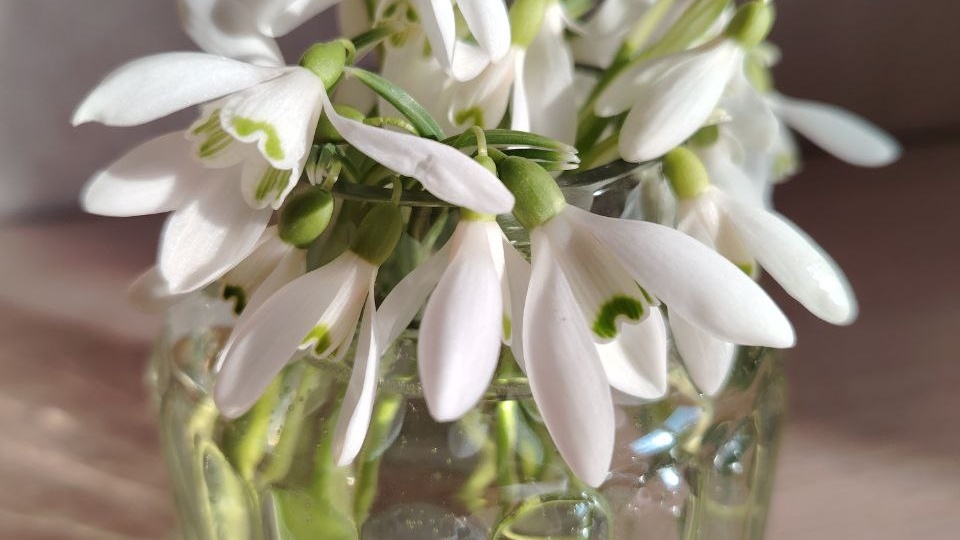 С добрым утром, солнышки мои