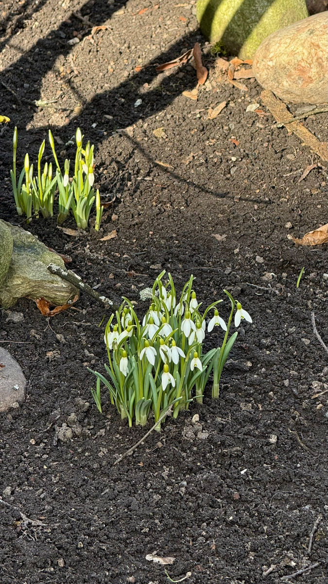 Природа пробуждается красиво. Не рвите цветы. Любуйтесь 😍