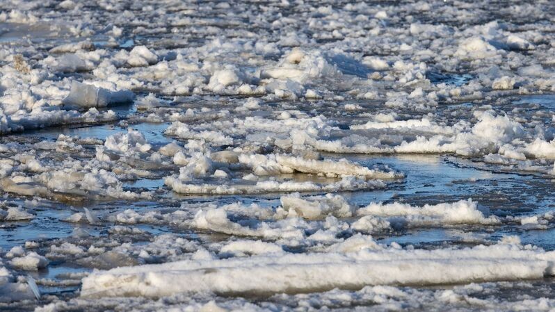    Фото: Фёдор Воронов/«Ямал-Медиа»