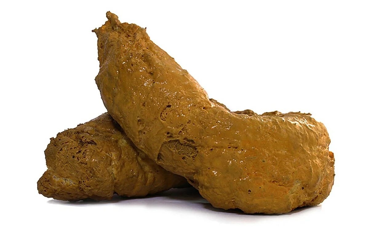 Фото с сайта: https://mydiagram.online/diagram-of-poop/MYDIAGRAM.ONLINE