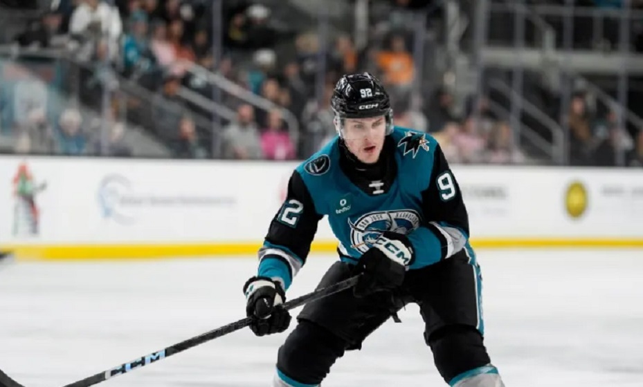    Чернышов получил тяжелую травму головы в матче с «Монреалем». Фото: НХЛ