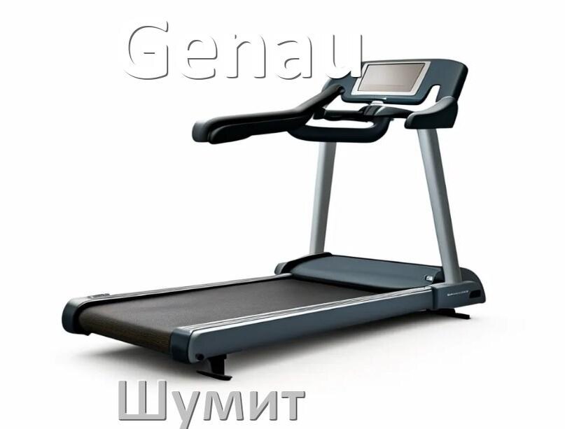 
Почему шумит беговая дорожка Genau гудит и свистит